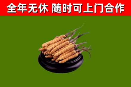 谷城烟酒回收冬虫夏草.jpg